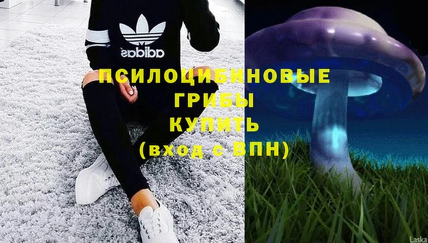 спайс Белая Калитва
